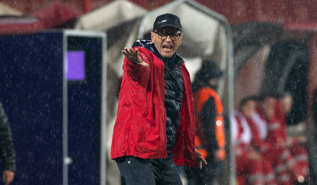 Gallo vicenza renate