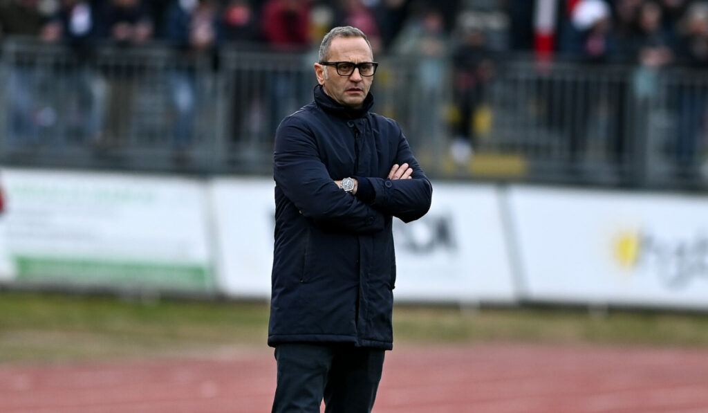 Gallo parlato dopo la sconfitta