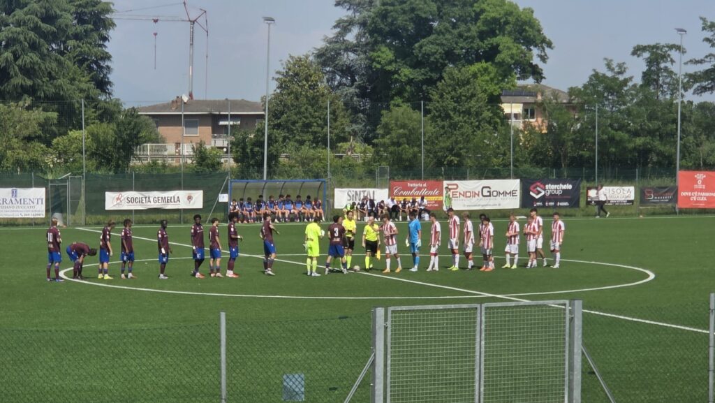 Primavera torneo Vicini